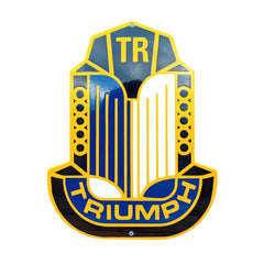 Triumph TR #2