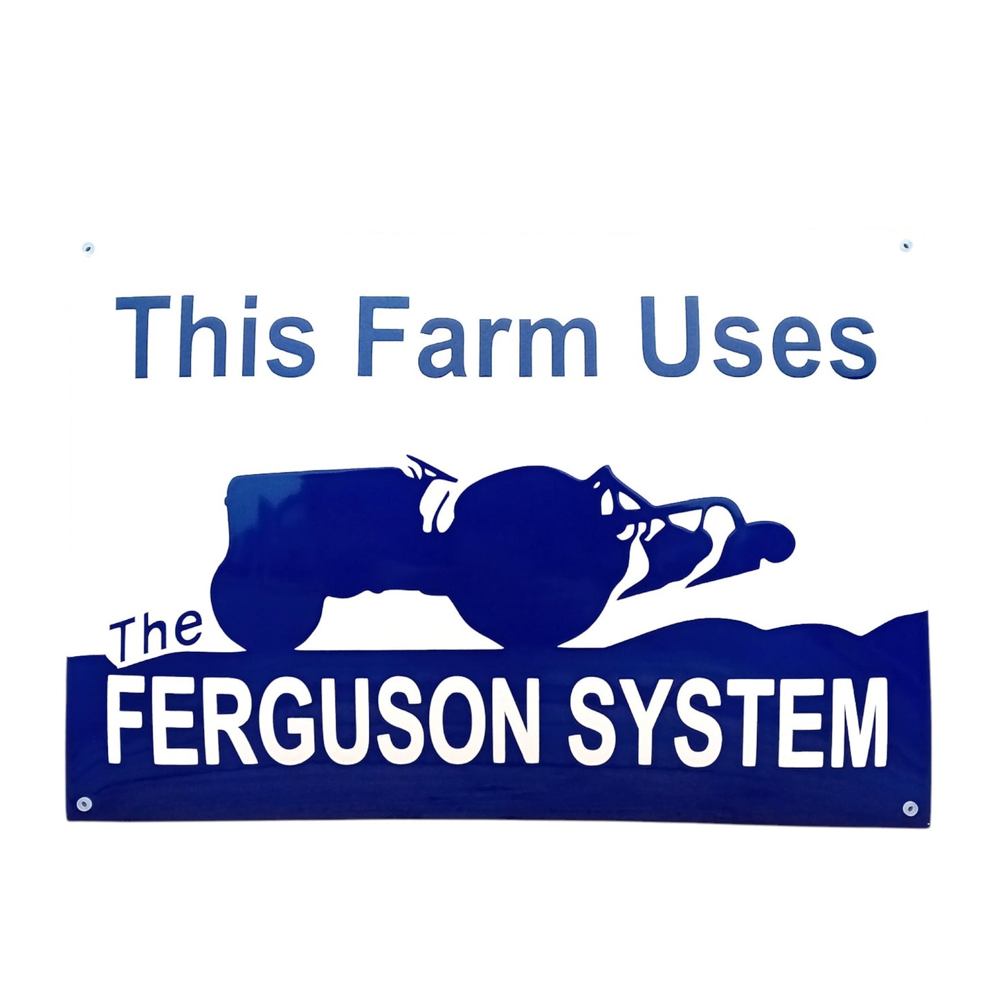 Ferguson-System